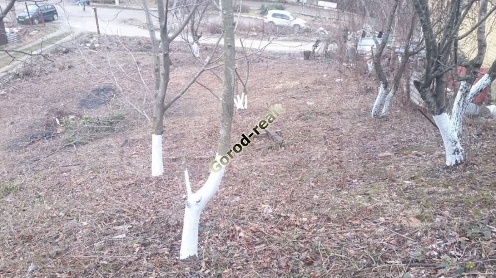 участок