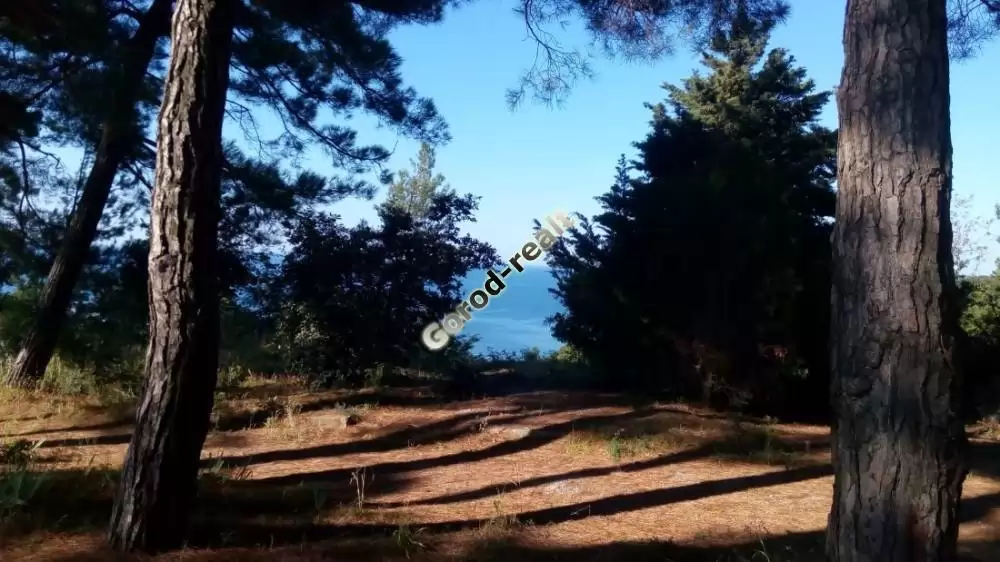 дорога к морю
