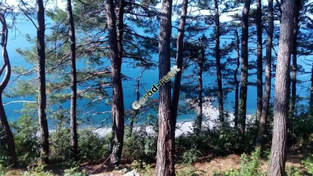 дорога к морю