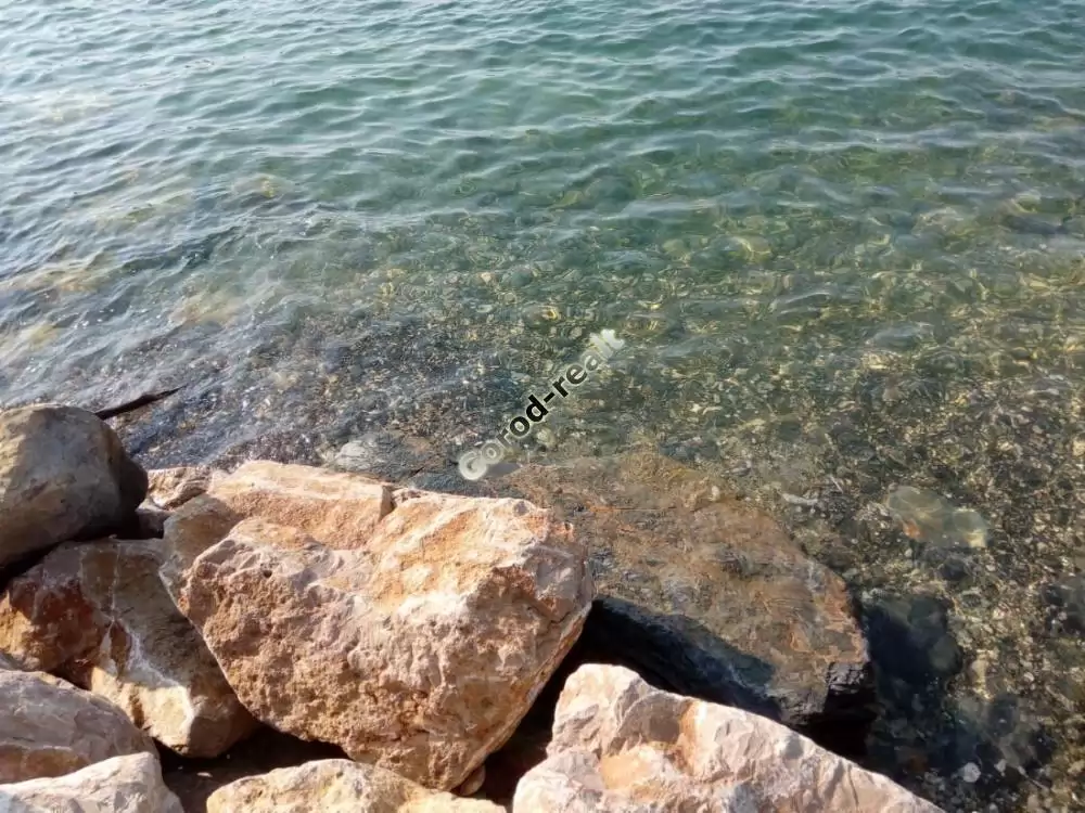 море