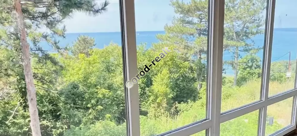 вид из окна