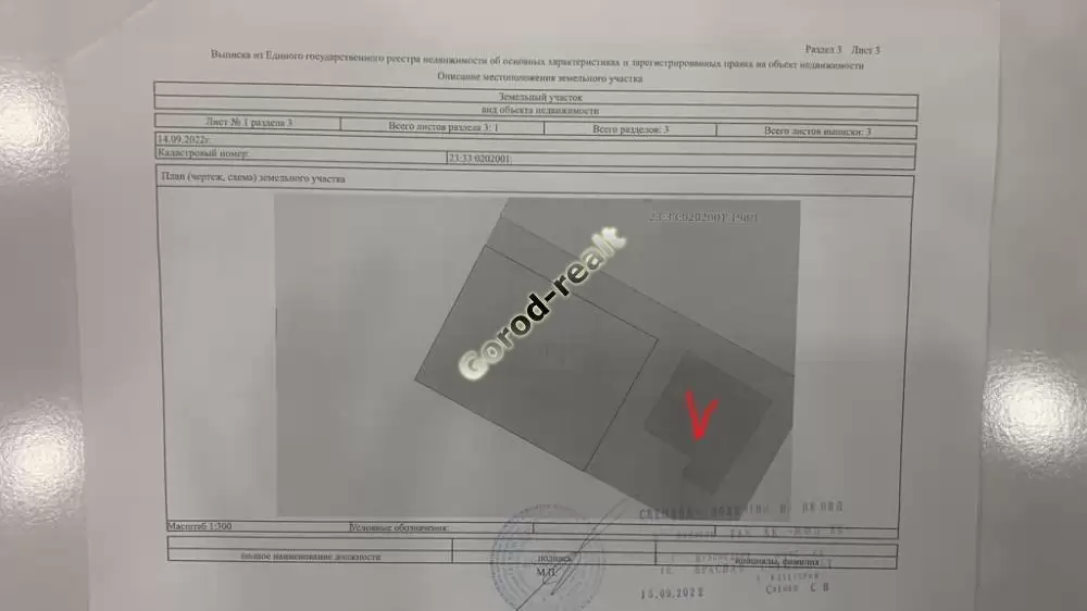 план
