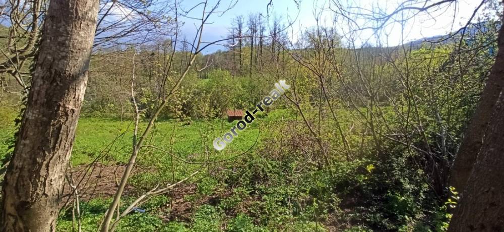 вид сбоку