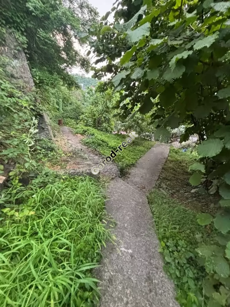 участок