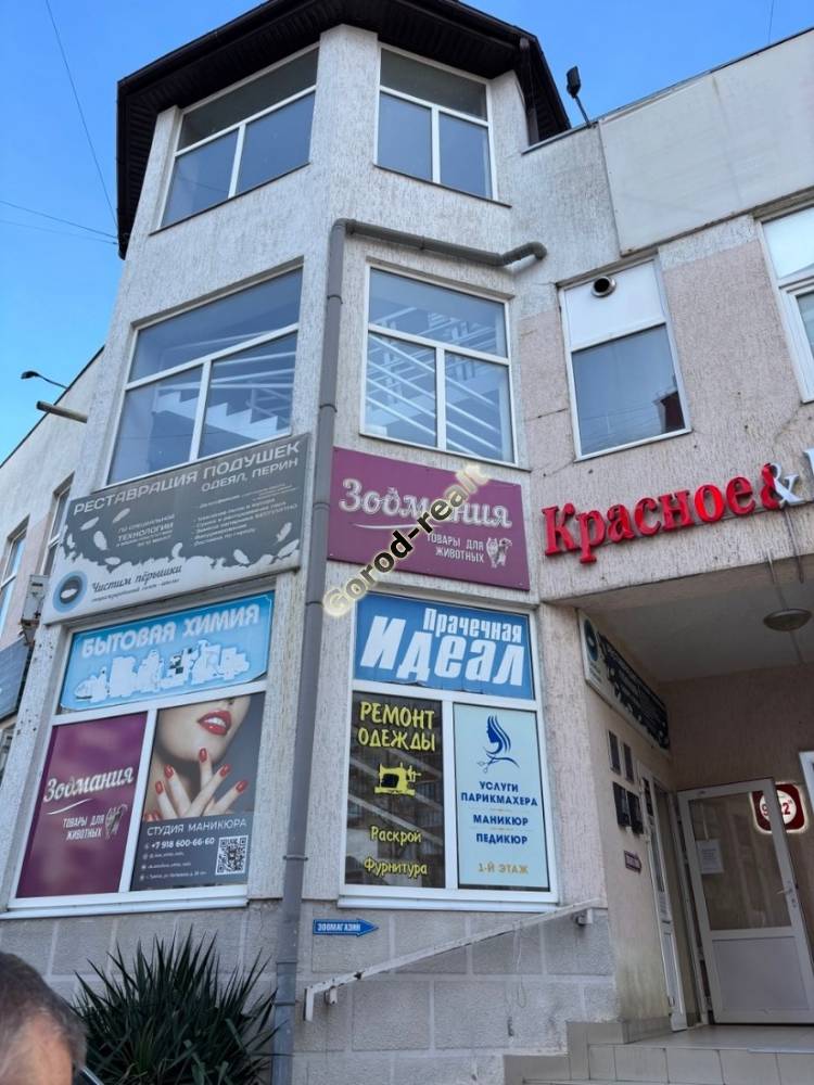 внешний вид