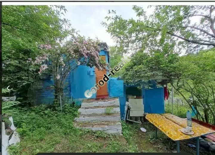 дом