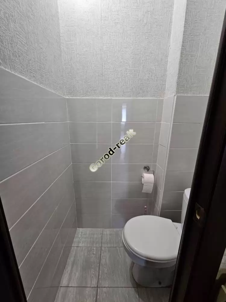 1000522667