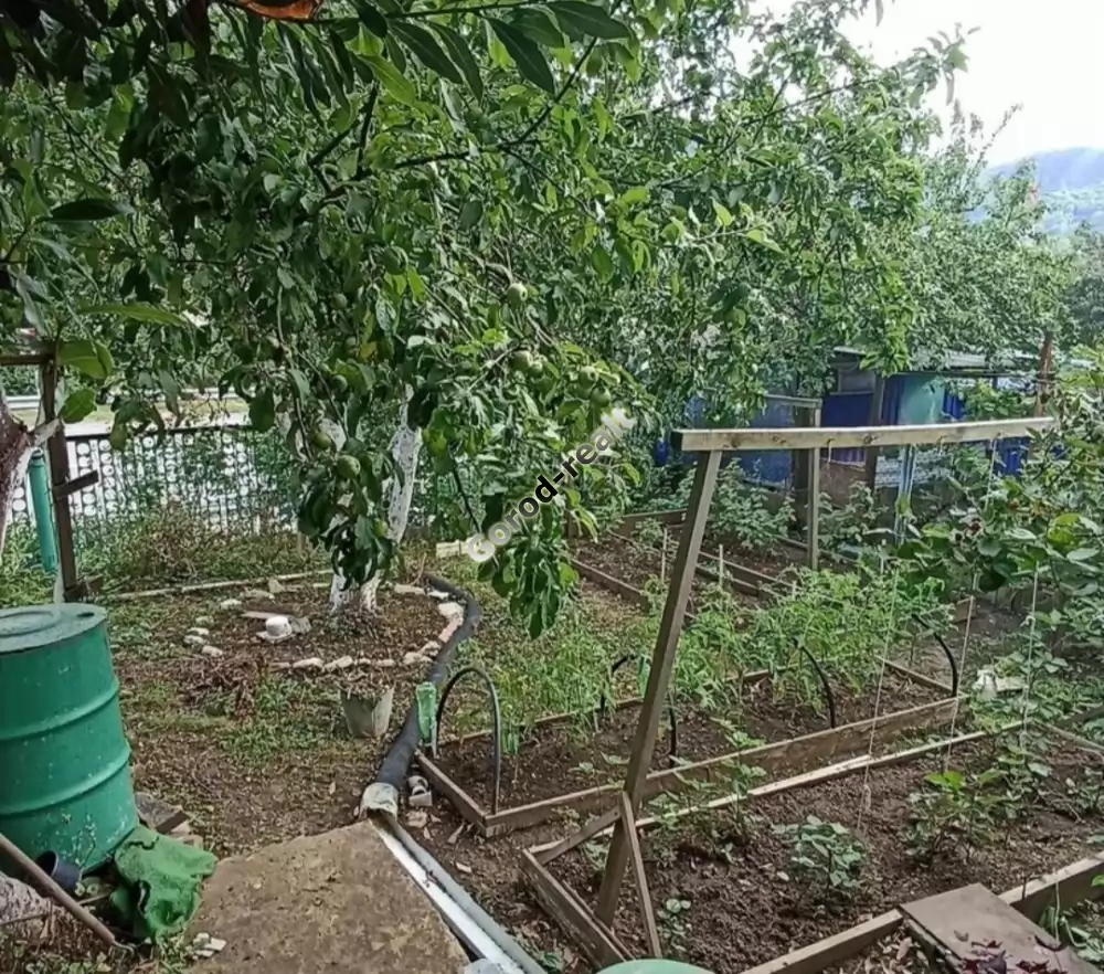 1000535840