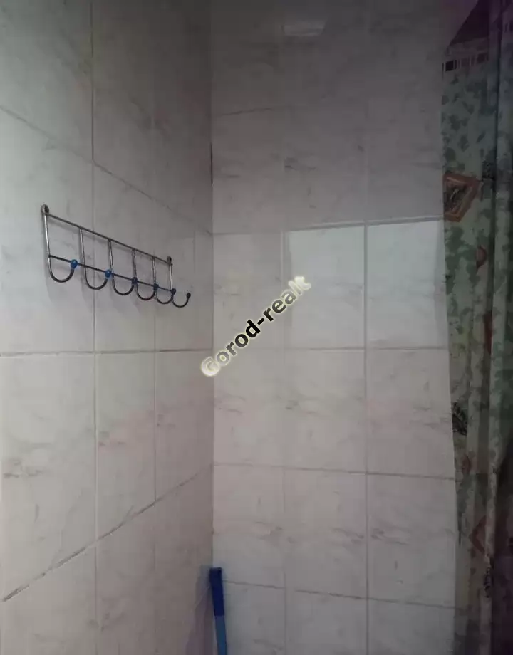 душ