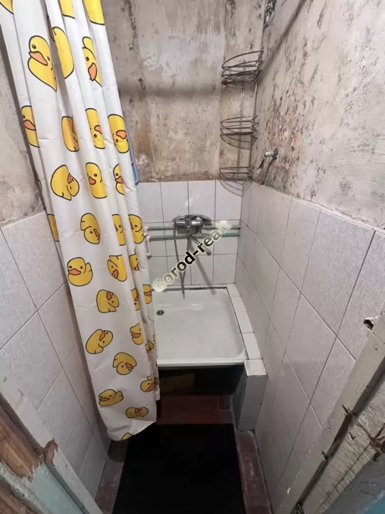 душ