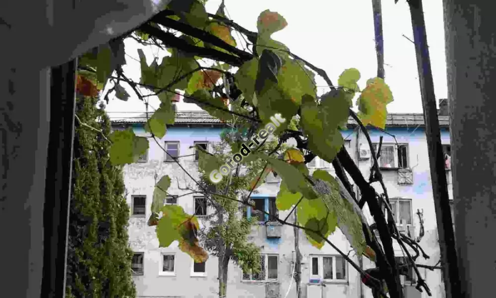 вид из окна
